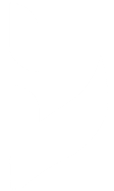 Logo ICOCERT